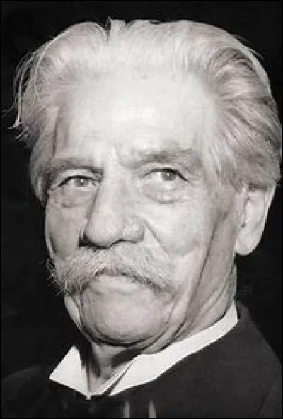 Qu'Albert Schweitzer ne fut-il pas ?