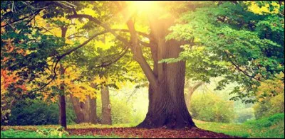 Aimes-tu les animaux et/ou la nature ?