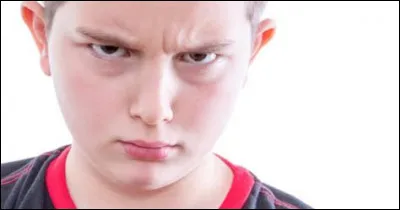 As-tu r&eacute;pondu sinc&egrave;rement &agrave; toutes les questions ?