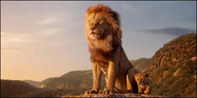 Quelle est sa vitesse maximale ?