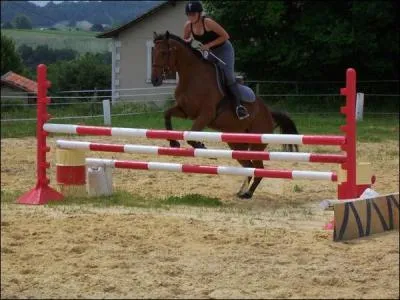 Cet obstacle s'appelle :