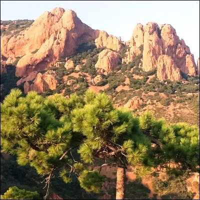 Quel massif montagneux du bord de la mer M&eacute;diterran&eacute;e, long&eacute; par la corniche d'Or, abrite un parc naturel depuis 1997 ?