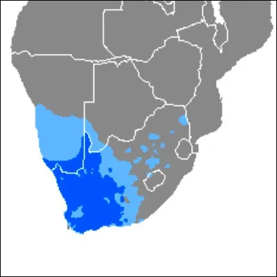 Quelle activit&eacute; sportive porte un nom d'origine afrikaans ?