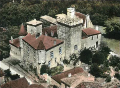 Quel est ce château médiéval du XIIIe siècle, situé dans les Yvelines ?