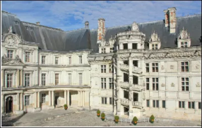 Quel est ce château royal de style gothique du XIIIe siècle, situé dans le Loir-et-Cher ?