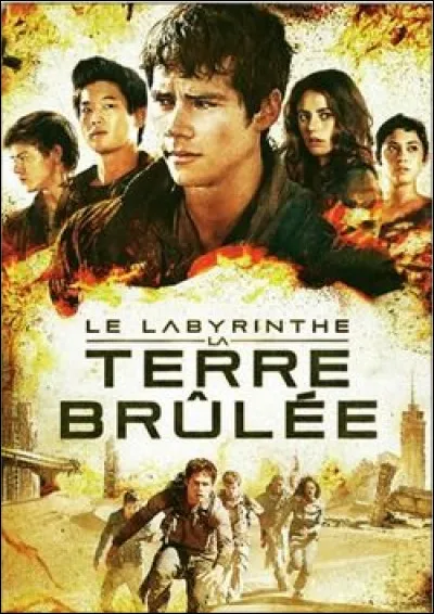 Comment s'appellent les "zombies des sables" (ceux qui sont atteint du virus) ?