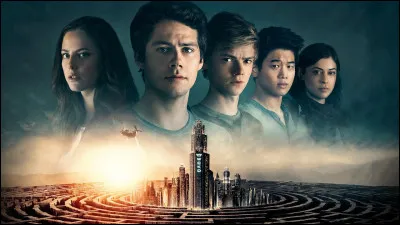 À qui Thomas demande-t-il de l'aide pour entrer dans W.I.C.K.E.D ?