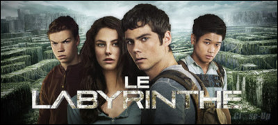 En quelle année sort le premier film "Le Labyrinthe" ?