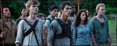 Lorsque Thomas arrive dans le labyrinthe, combien y a-t-il de filles ?