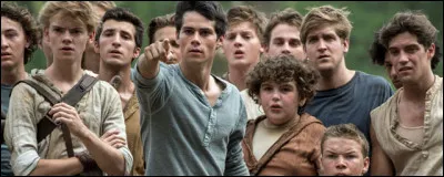 Qui est le premier à être arrivé dans le labyrinthe ?