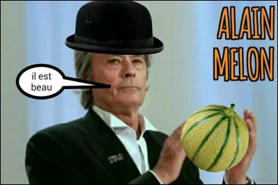 Dans ce film, cette petite starlette germanique ne pouvait faire autrement que de céder à cet apollon qu'était le sublime Alain Delon, il daigna donc lui accorder ses faveurs !