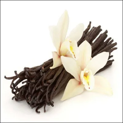 Appelée île Mascarin en 1638, La Réunion en 1793 et en 1848, quel était le nom de cette île en 1649 ?