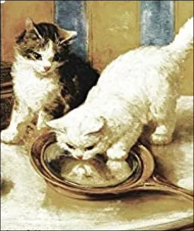 Qui est l'auteur de ''Vies de deux chattes'' ?