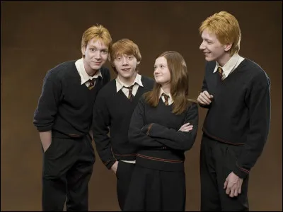 De quelle maison la famille Weasley fait-elle partie ?