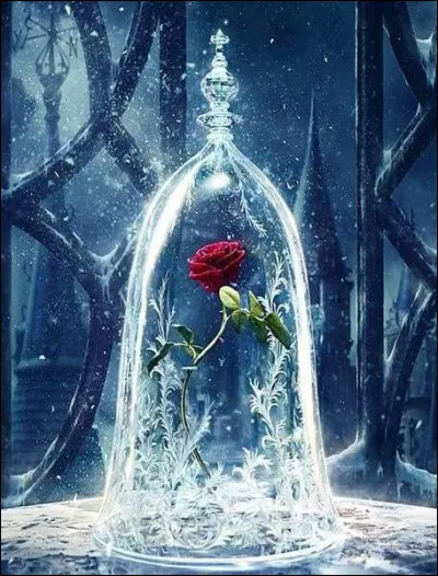 &Agrave; quelle princesse se rapporte cette rose ?