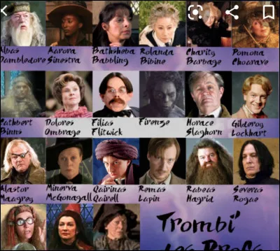 Qui est le professeur préféré de Harry ?