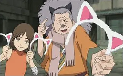 Dans quel célèbre animé figurent Nekobaa et Tamaki, deux fans de chats ?