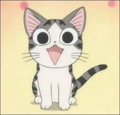 Comment s'appelle ce chat ?