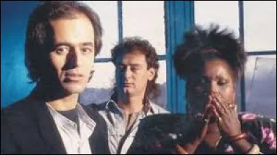 De quelle chanson sont tirées ces paroles ?
J'aimerais tant être au pluriel
Quand mon singulier me rogne les ailes
Être une star en restant anonyme
Vivre à la campagne mais en centre ville
Effacer mes solitudes
Sans Dieu ni famille et sans habitude