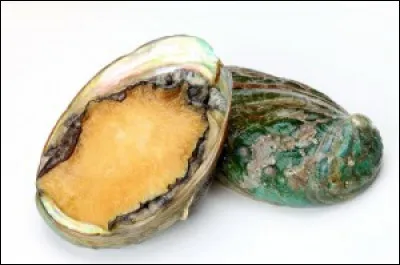 Quel est le nom de ce mollusque, r&eacute;put&eacute; pour sa chair, mais surtout pour la nacre iris&eacute;e de sa coquille unique ?