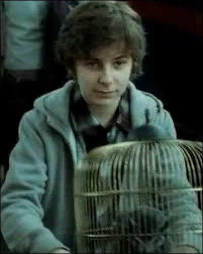 Comment s'appelle le fils a&icirc;n&eacute; de Harry Potter ?