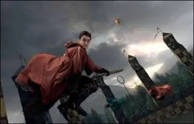 Comment s'appelle l'objet qu'ach&egrave;tent Harry, Ron et Hermione pour mieux voir le match de Quidditch dans "Harry Potter et la Coupe de feu" ?