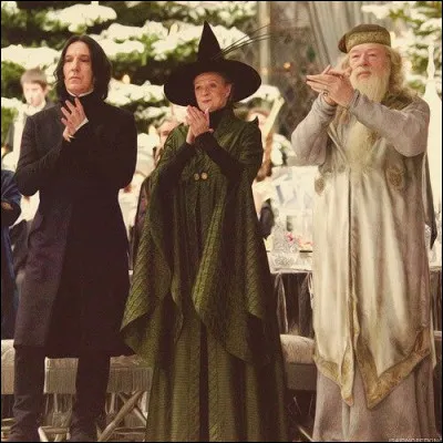 Quel professeur de Poudlard préfères-tu ?