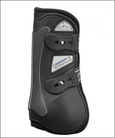 Quelle est cette "objet" ?