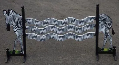 Quel est cet obstacle ?