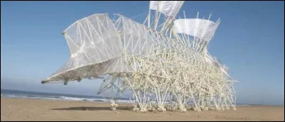Theo Jansen est un sculpteur néerlandais qui se base sur l'art cinétique à travers des uvres mobiles.
Quelle énergie utilise-t-il pour les mouvoir ?