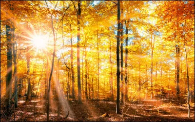 D'où vient l'expression "été indien" ?