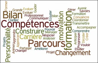 En quelle année a été créé le bilan de compétences ?