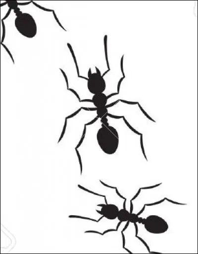 Quel est le plus venimeux des animaux suivants ?