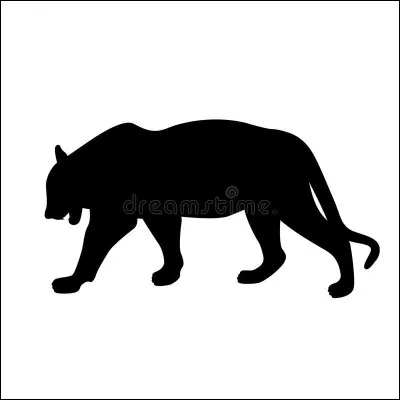 À quel animal appartient cette ombre ?