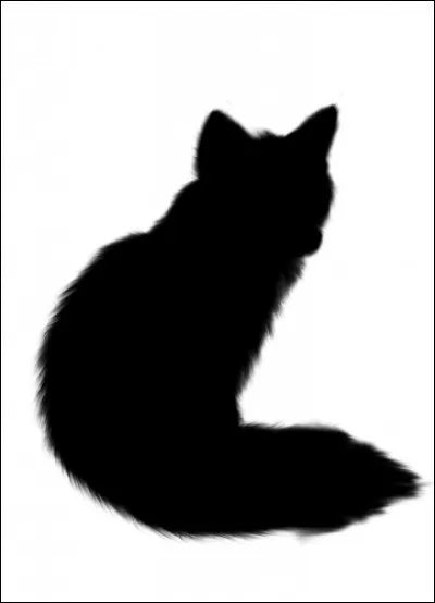 À quel animal appartient cette ombre ?