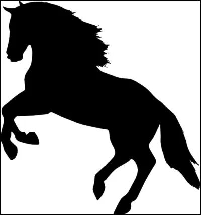 À quel animal appartient cette ombre ?