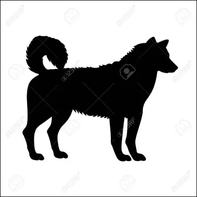 À quel animal appartient cette ombre ?