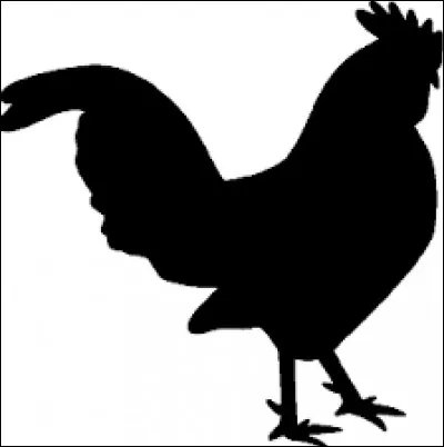 À quel animal appartient cette ombre ?