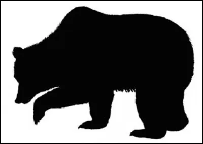 À quel animal appartient cette ombre ?