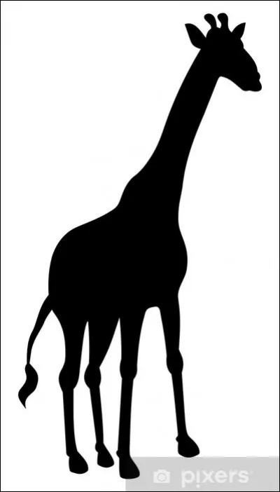 À quel animal appartient cette ombre ?