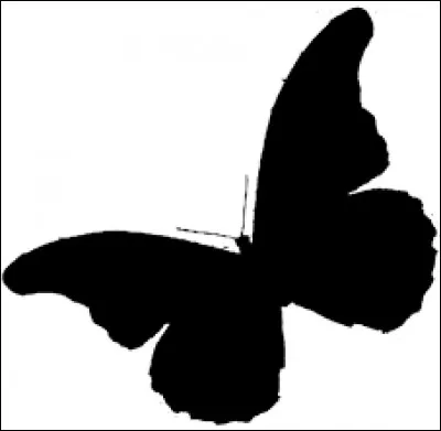 À quel animal appartient cette ombre ?