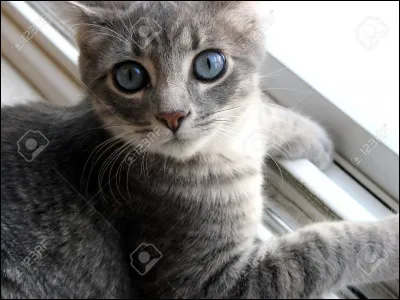 Quel est son handicap ?