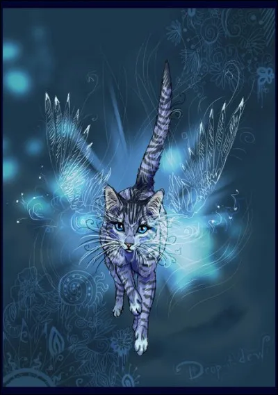 Dans quel cycle le voit-on ?