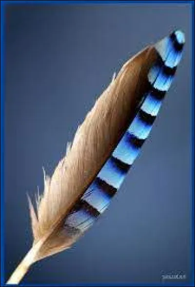 Quand apprend-il qui sont ses vrais parents ?