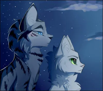 De quelle chatte est-il amoureux ?