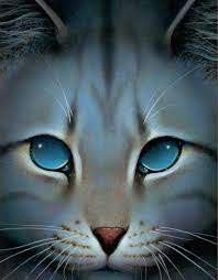 Quiz Erin hunter