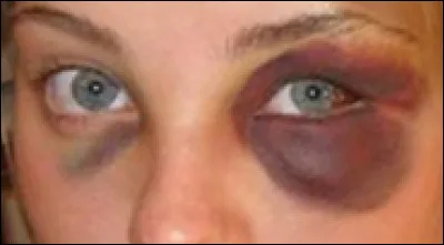 Que fait un geai lorsqu'il crie ?