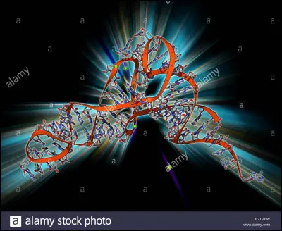 Biologie moléculaire- Quelle technique permet d'amplifier un ARNm.
