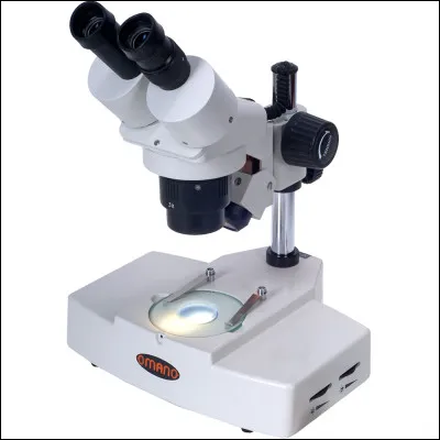 Les trois constituants cellulaires visibles au microscope optique sont :