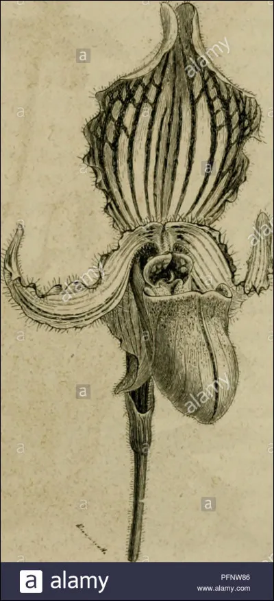 À quel niveau s'effectue la fécondation humaine ?